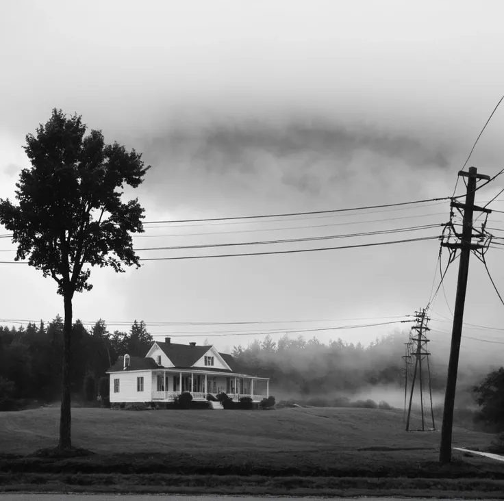 Gray,Monochrome,black-and-white photograph,,black-and-white photograph,greyscale,monochrome,no humans,tree,scenery,outdoors,house,power lines,building,utility pole,grass,cloud,sky,water,nature,fog,<lora:add_detail:1>