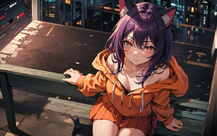 1girl, solo, (cat ears:1.05), cat girl, purple hair, orange colored inner hair, purple eyes, orange eyes, gradient eyes, looking at viewer, very long hair, (red:1.2) miniskirt, hooded sweater, bare neck,
from above, cowboy shot, outdoors, sitting on bench, night, cityscape, vanishing point, dramatic, (smile:0.5), (blush:0.6), (flustered:0.5),
BREAK (symmetric), (exceptional, best aesthetic, best quality, masterpiece, extremely detailed)