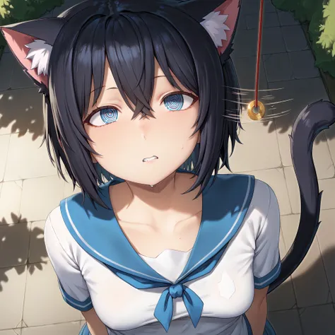 score_9, score_8_up, score_7_up, source_anime, BREAK, freng, (pendulum, motion lines, hypnosis), (from above), 1girl, (mature female), solo, @ @, spiral eyes, cat tail, cat ears, black hair, blue eyes, (cross-eyed, confused), raised eyebrow, tail, crossed bangs, animal ear fluff, short hair, [small breasts], (forest), highres, absurdres, masterpiece, best quality, ultra-detailed, illustration,colorful, masterpiece, best quality, ray tracing, 8k, (extremely detailed), soft lighting, tracing, soft shadows, detailed face, (textured skin), <lora:StS-Pendulum-Hypnosis-Coin-SDXL:1>, <lora:freng_V1:0.8>