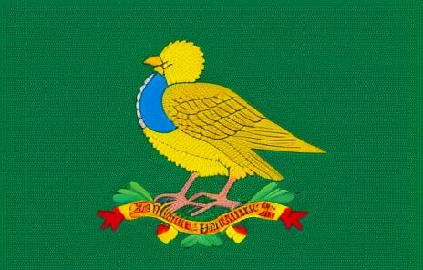 fictional country_flag,colors,hd quality,full complete,symbols,detailed,with birds symbols