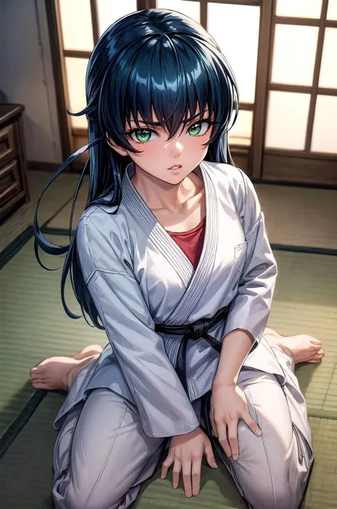 (masterpiece, best quality, detailed), 1girl, solo, looking at viewer, IgawaAsagi, long hair, hair between eyes, black hair, blue hair, green eyes,
<lora:Dougi2:1>, dougi, martial arts belt, indoors, tatami, sliding doors, cushion, wariza, hand between legs, from above, parted lips