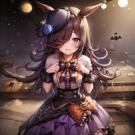 ((masterpiece, best quality)),((((1girl)))),<lora:Rice Shower:0.7>,Rice Shower, Rice Shower(Halloween) ,thighhighs, hat,horse ears,standing,((halloween)),light,night sky,bat,pumpkin,smile,((portrait))