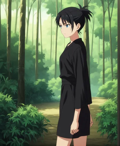 score_9,score_8_up,score_7_up,score_6_up,source anime BREAK, anime screencap,
1girl,black dress,blue eyes,black hair,scenery,cowboy shot,serious,forest,nature,sunset
<lora:Anime Screencap_epoch_10:1.2>