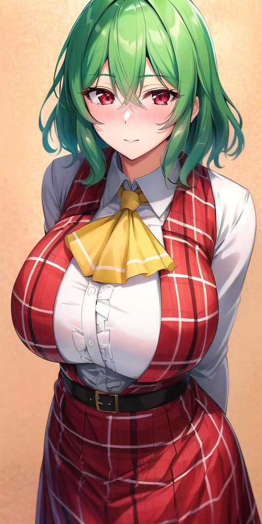 <lora:YuukaKazami:.7>, YuukaKazami, red_eyes, green_hair, standing, solo, huge_breasts, blush, closed_mouth, YuukaRedPlaidOutfit, masterpiece, best quality, detailed face, detailed eyes, highres,