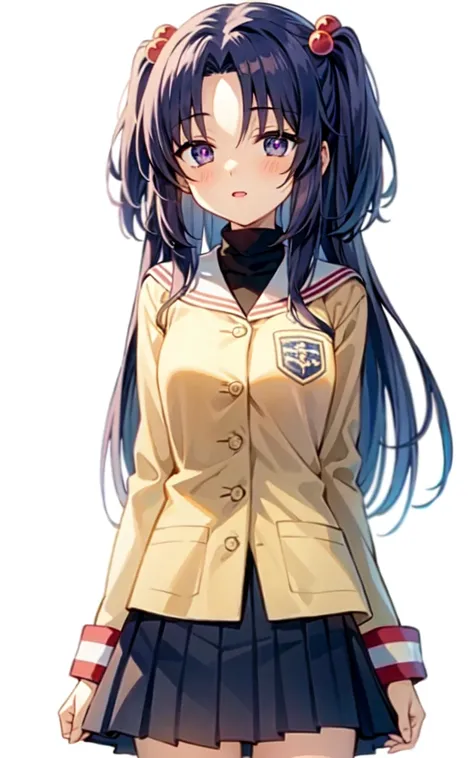 1girl,Kotomi,long hair,solid pupils