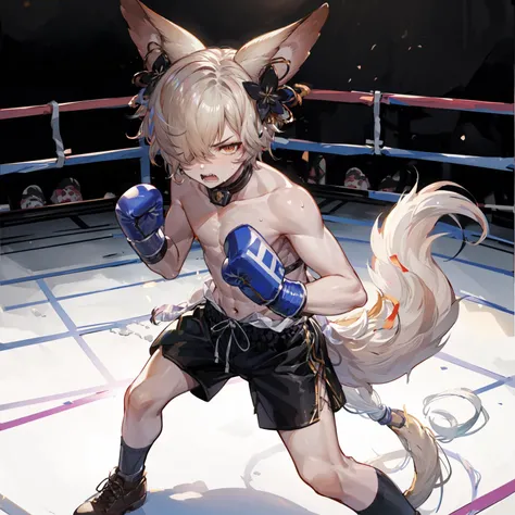 <lora:kou_granblue:.75> Kou, 1boy, hair ornament, (tail:1.2), hair over one eye, from above, boxing shorts, shirtless, boxing boots, socks, angry, mad, struggling, (stance:1.2), boxing ring, spotlight, hard light, lit from above, sweat, boxing gloves