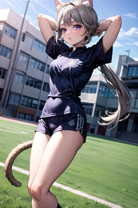 (masterpiece, best quality, detailed), 1girl, solo, looking at viewer, lynette, cat ears, purple eyes, low ponytail, cat tail, 
<lora:Soccer Uniform By Stable Yogi:0.5>, soccer uniform, <lora:school_yard_v0.1:1>, school yard, field, dutch angle, arms behind head, parted lips, heavy breathing