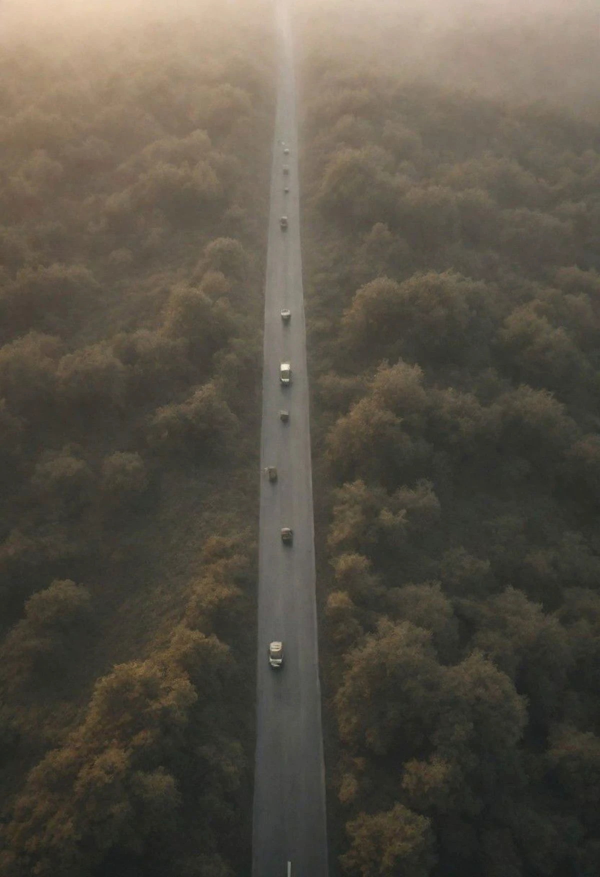 A early morning Road in Fog, sunrise behind a Grey/orange veil of fog, dystopian abyss like broken cgmech opens the sky, broken Road, very detailed, atmospheric haze, Film grain, cinematic film still, shallow depth of field, highly detailed, high budget, cinemascope, moody, epic, OverallDetail, gorgeous, 2000s vintage RAW photo, photorealistic, candid camera, color graded cinematic, atmospheric lighting, natural, shallow dof