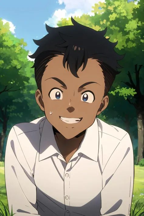 don, neverland, 1boy, solo, upper body, nature, sky, tree, grass, dark-skinned male, looking at viewer, shirt, black hair, smiling, white shirt, male focus, collared shirt, black eyes, parody, style parody, anime coloring, teeth,<lora:Don:0.7>