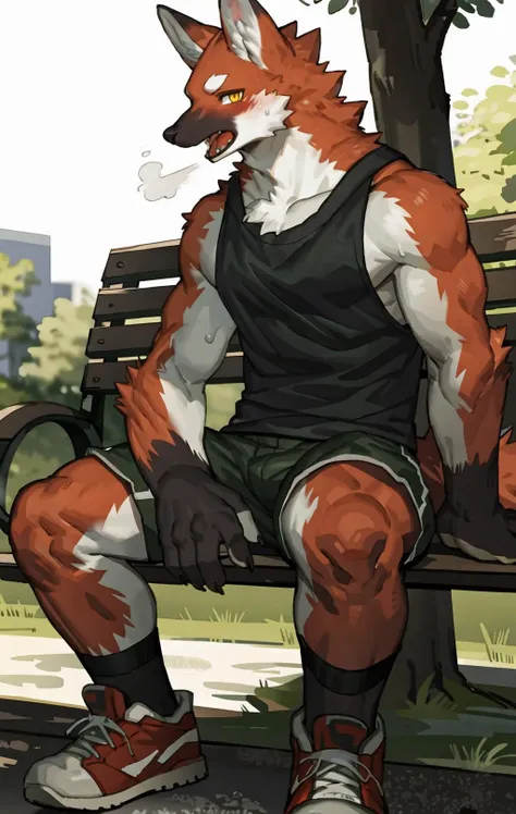 by pgm300,by fuguri,by kiyosan,by milkytiger1145,
furry,kemono,anthro,
male,solo,
maned wolf,
red fur,yellow eyes,
looking at viewer, open mouth,heavy breathing, 
sweat,steaming body, 
collarbone,
black tank top, 
shorts,
sneakers,red footwear,
sitting, 
park bench,