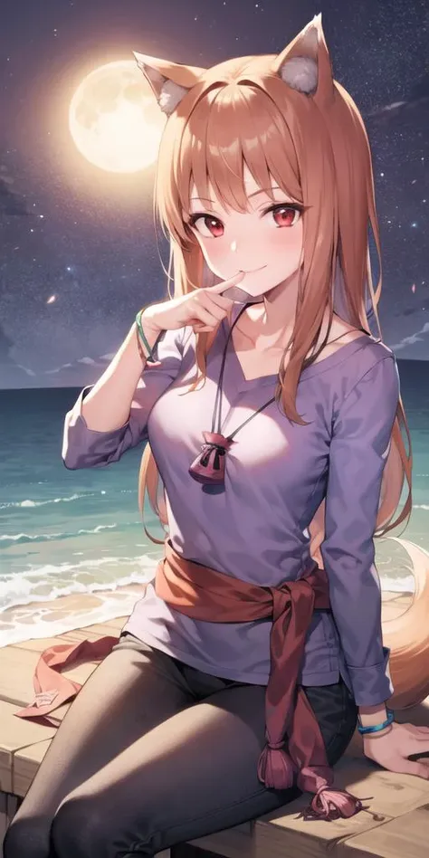 1girl, animal ears, blush, bracelet, breasts, brown hair, finger to mouth, jewelry, long hair, naughty face, night, pouch, red eyes, sitting, smile, solo, steam, tail, water, wolf ears, wolf tail, wolf girl, looking at viewer,purple shirt, sash, shirt, pants, closed mouth, collarbone, <lora:holo_locon_v1a:0.8>