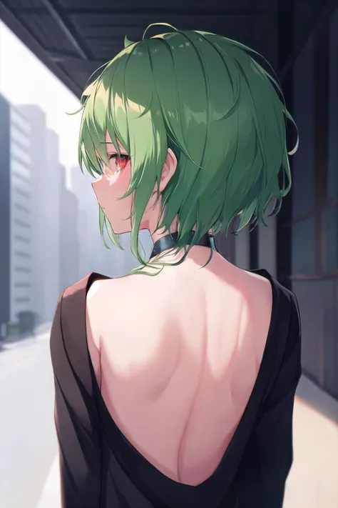 <lora:EtoYoshimuraV2:1>, EtoYoshimura,red_eye, black_sclera, green_eye, heterochromia,
1girl, from behind,back, (looking away, facing away:1.3),