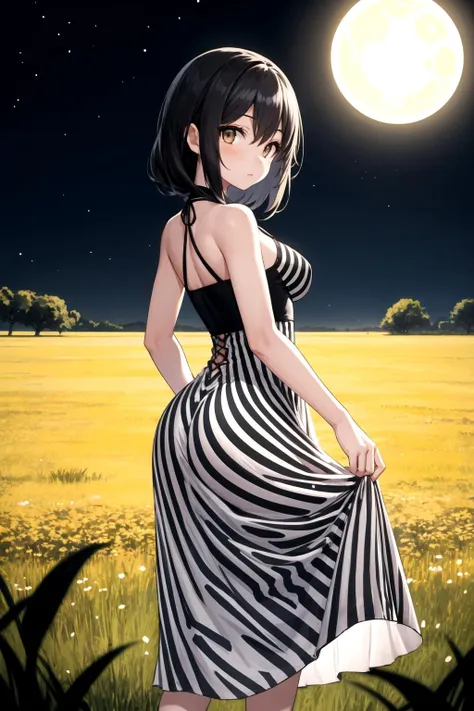 best quality, 1girl, looking at viewer, detailed, zebra print dress, long skirt, standing in a field, dark colors, night, eclipse