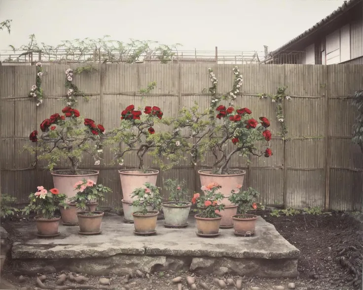 <lora:Kozaburo_Tamamura_style_v2:0.7>, outdoors, sky, day, water, tree, no humans, traditional media, plant, white flower, red flower, building, scenery, pink flower, rain, red rose, fence, floral background, potted plant, bucket, Tamamura