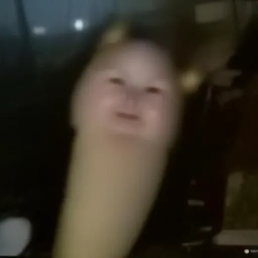 <lora:memePure0830:1.2>1girl,    <lora:haoqi0823c_9336077e-c4cf:1:1:lbw=face>