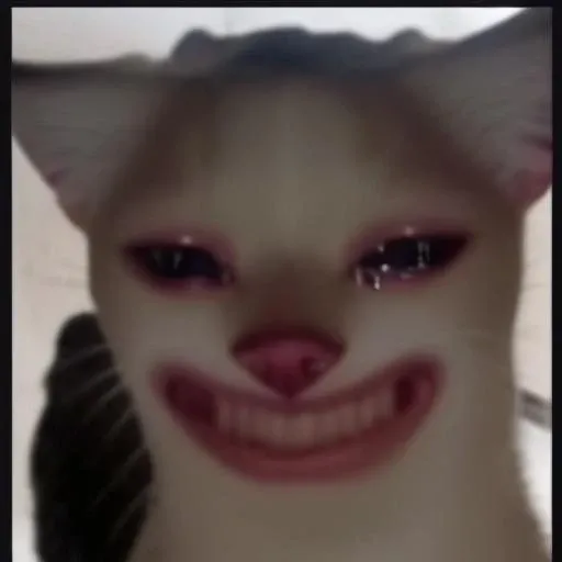 <lora:memePure0830:1.2>, cat, crying, ugly