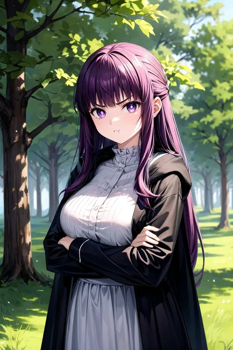 (masterpiece, best quality, detailed), 1girl, solo, looking at viewer, <lora:FernV2:1>, FernBase, purple pupils, long hair, half updo, white dress, collared dress, (black robe), crossed arms, (pout, angry:0.9), outdoors, forest, nature, grass, tree, flower, leaf