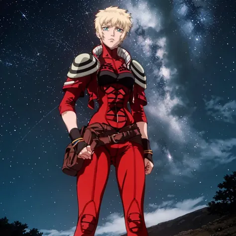 <lora:Layla001:0.7>,
Layla,1woman,
short hair,
bodysuit,jacket,shoulder armor,
belt,
fingerless gloves,
boots,
starry_sky,nature,