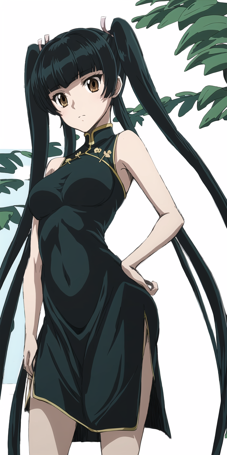 Wang liu mei 王留美v1.0