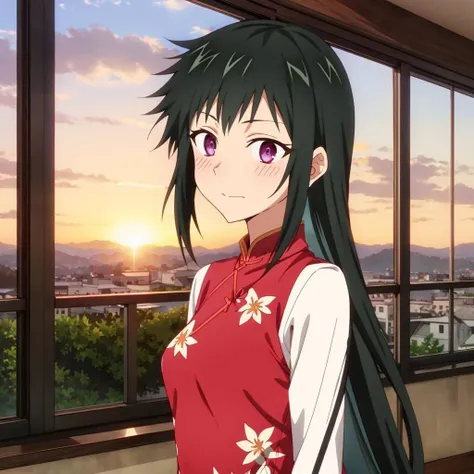 <lora:KyoNekozaki001:0.7>,<lora:add_detail:0.5>,solo,
KyoNekozaki,1girl,long hair,
cheongsam,blush,indoor,sunset,