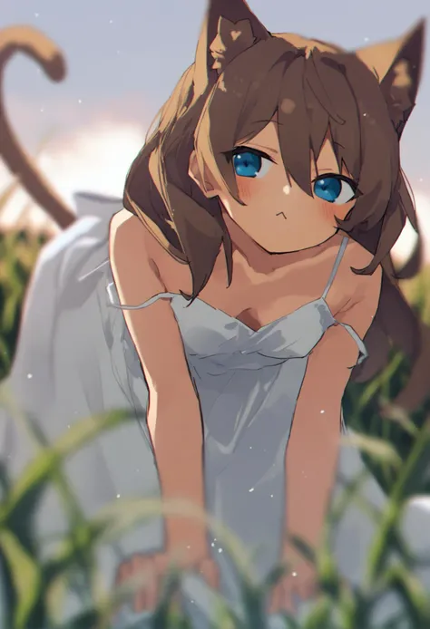 masterpiece, best quality,1girl, animal ears, solo, tail, dress, blue eyes, cat ears, cat tail, white dress, cat girl, :<,   bangs, breasts, long hair, brown hair, outdoors, animal ear fluff, blurry, sleeveless dress, sleeveless, bare shoulders, cleavage, all fours, looking at viewer, strap slip, hair between eyes, sundress, depth of field, spaghetti strap, small breasts, closed mouth, field ,
 <lora:potgXLlokr4f-000143:1>