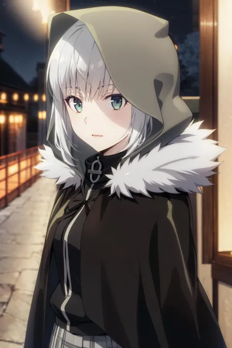 best quality, (masterpiece:1.2), detailed, blurry background,
<lora:chara_FateLordElMelloi_Gray_v1:0.8>, gray (lord el-melloi),
1girl, solo, closed mouth,
grey hair, green eyes,
black cloak, pleated skirt, (hood:1.2), black hood, fur trim, neck ribbon,
standing, looking at the viewer, (portrait:1.4),
outdoors, (night:1.2)