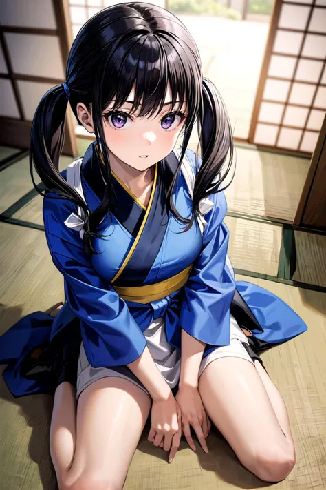 (masterpiece, best quality, detailed), 1girl, solo, looking at viewer, aatakina, long hair, twintails, black hair, breasts, japanese clothes, (blue kimono:1.2), tasuki, long sleeves, sash, (brown apron:1.2),
wariza, hand between legs, from above, parted lips, indoors, tatami, sliding doors, cushion
