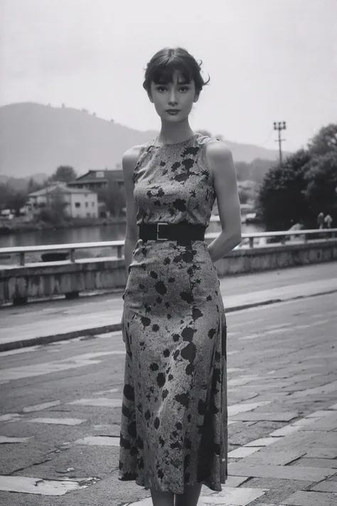 1girl,realistic,best quality,looking_at_viewer,(picturesque:1.3),<lora:Audrey Hepburn:0.9>,(bangs:1.2),(print_dress:1.3),<lora:èç§ç:0.5>,grayscale Old Photo,