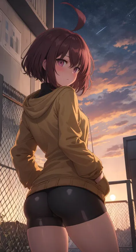 masterpiece, best quality, absurdres, illustration, 8k, perfect shadows, blush, skindentation,  hdr, ambiente lighting, cowboy shot, (shiny skin:1.2) Linne, 1girl,solo, ahoge, turtleneck,  chain-link fence, hood, outdoors, fence, bike shorts, bird, hand in pocket, cloud, bangs, star (sky), building, setting sun, from behind, back, ass
street, hands in pockets, long sleeves, outdoors, dim lit