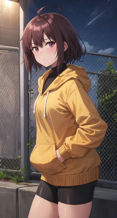 masterpiece, best quality, absurdres, illustration, 8k, perfect shadows, blush, skindentation,  hdr, ambiente lighting, cowboy shot, (shiny skin:1.2) Linne, 1girl,solo, ahoge, turtleneck,  chain-link fence, hood, outdoors, fence, bike shorts, bird, hand in pocket, looking at viewer, cloud, bangs, star (sky), building, setting sun
street, hands in pockets, long sleeves, outdoors, dim lit