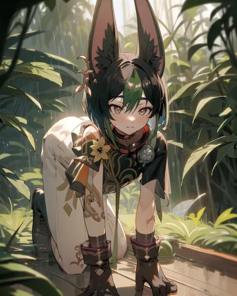 4K, realistic, high resolution, masterpiece: 1.2), ((movie brightness)(blurry foreground:1.1), [1girl|(Tinai\(genshin impact\):1.1),  Impact(crossdressing:1.21)|[in the rain:(jungle:1.1):0]],(naked:1.2)(afraid:1.1) [short hair|(bowl cut:1.1)|hair between eyes|(fox ears:1.1)], [half gloves|(all fours:1.331)|(collar:1.1)(tattoo:1.2) <lora:tighnari:0.85>