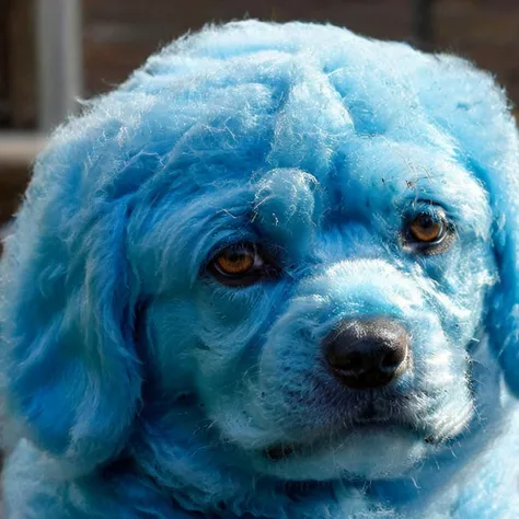 a photo of <lora:ccnd:0.75>, blue dog made out of ccnd, high resolution, beautiful, highest quality, masterpiece, highly detailed