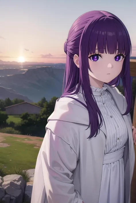 fern, <lyco:fernv2-lyco-nochekaiser:1>,
fern, long hair, bangs, (purple eyes:1.1), purple hair, sidelocks, blunt bangs, (bright pupils:1.5), half updo,
BREAK shirt, dress, jacket, white shirt, open clothes, hood, white dress, hood down,
BREAK outdoors, sky, nature,
BREAK looking at viewer, (cowboy shot:1.5),
BREAK <lyco:GoodHands-beta2:1>, (masterpiece:1.2), best quality, high resolution, unity 8k wallpaper, (illustration:0.8), (beautiful detailed eyes:1.6), extremely detailed face, perfect lighting, extremely detailed CG, (perfect hands, perfect anatomy),