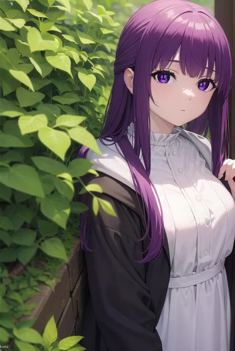 fern, <lyco:fernv2-lyco-nochekaiser:1>,
fern, long hair, bangs, (purple eyes:1.1), purple hair, sidelocks, blunt bangs, (bright pupils:1.5), half updo,
BREAK shirt, dress, jacket, white shirt, open clothes, hood, white dress, hood down,
BREAK outdoors, sky, nature,
BREAK looking at viewer, (cowboy shot:1.5),
BREAK <lyco:GoodHands-beta2:1>, (masterpiece:1.2), best quality, high resolution, unity 8k wallpaper, (illustration:0.8), (beautiful detailed eyes:1.6), extremely detailed face, perfect lighting, extremely detailed CG, (perfect hands, perfect anatomy),