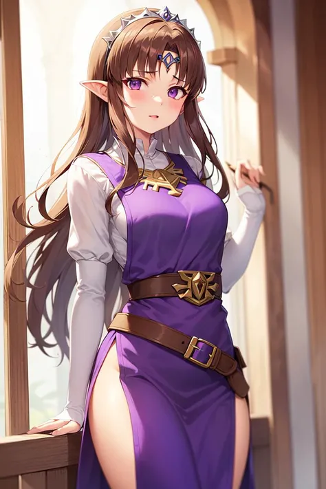 masterpiece, best_quality, 1girl, solo, princess zelda, nintendo, the legend of zelda, (twpr:1.4), (brown hair:1.4), dress, tabard, (purple tabard:1.4), tiara