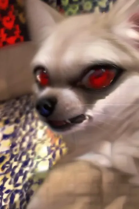 weirogs, red eyes<lora:weirogs_del:1.0> <lora:Sheya_rel:0.9>