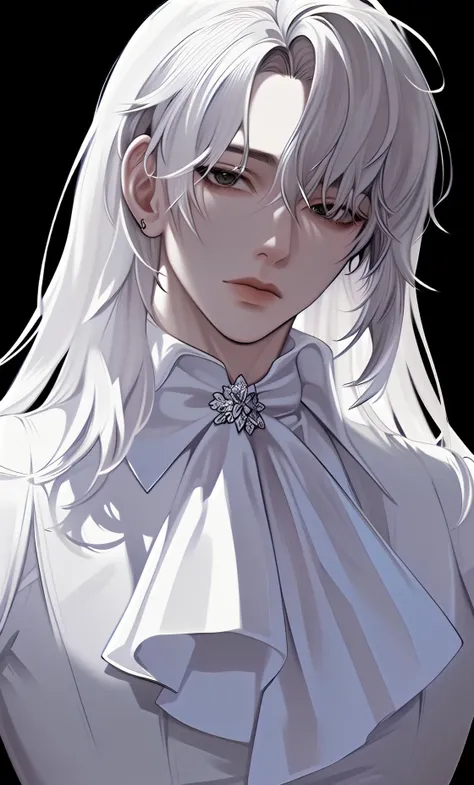 (((extremely detailed))),(((masterpiece))),(((best quality))),1boy, male focus,white long hair, male focus, black background, upper body, white flower, looking at viewer, white ascot,<lora:kr-maleface:1>