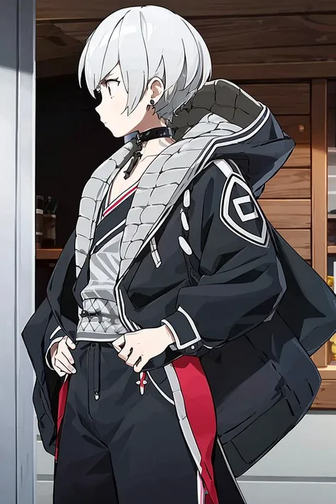 <lora:Alola_Style:0.65>, (best quality, masterpiece:1.5), (1boy, solo:1.1), <lora:e7Haste-07:.8>, hooded_jacket, choker, boots, pants, white hair, short hair, profile, serious, red jewelry, cowboy shot,