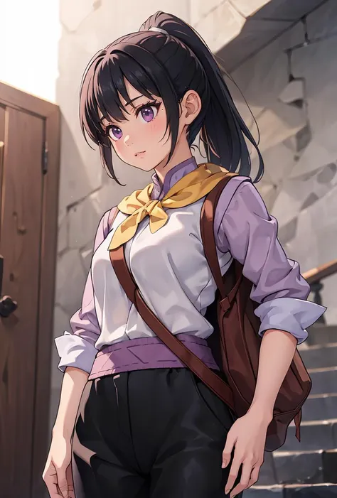 (masterpiece, best quality), 1girl,   <lora:FighterGS:0.8> FighterGS, 1girl, solo, long hair, black hair, purple eyes, ponytail, shirt, black pants,