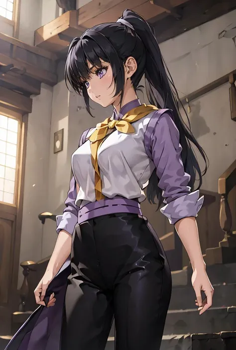 (masterpiece, best quality), 1girl,   <lora:FighterGS:0.8> FighterGS, 1girl, solo, long hair, black hair, purple eyes, ponytail, shirt, black pants,