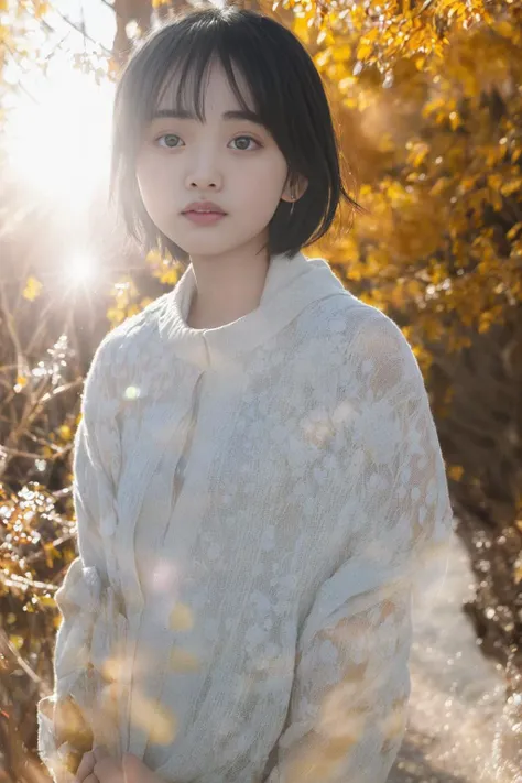 shenyue, <lora:shenYueLora_v10:0.7>
young beautiful girl, 
ultra detailed, 
official art, 
unity 8k wallpaper
golden hour, (rim lighting):1.2, 
warm tones, sun flare, soft shadows, 
vibrant colors, hazy glow, 
painterly effect, dreamy atmosphere