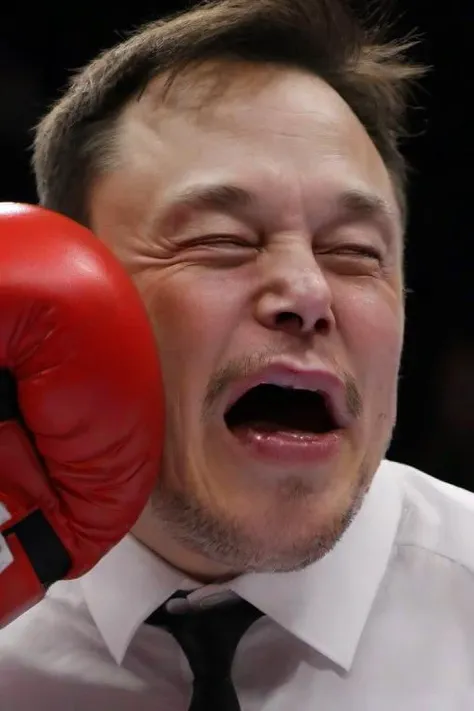<lora:PE_FacePunch:0.8> PEFacePunch,boxing gloves on face,
Elon Musk