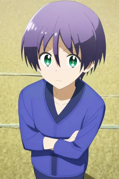 score_9, score_8_up, score_7_up, source_anime, rating_safe, intricate details, anime screencap, anime coloring, official style, , , 1boy, solo, male focus, <lora:nasa_yuzaki_pony:0.76>, nasa_yuzaki, purple hair, green eyes, short hair, hair between eyes, from above, full body, skytree, noon, crossed arms, sparkling eyes, , <lora:sdxl_lightning_8step_lora:1>