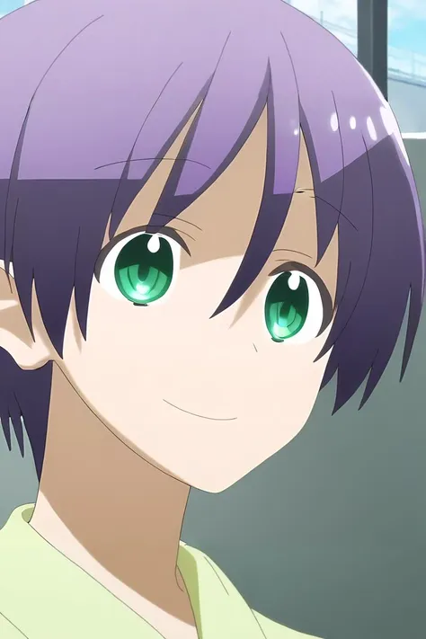 score_9, score_8_up, score_7_up, source_anime, rating_safe, intricate details, anime screencap, , , , , 1boy, solo, male focus, <lora:nasa_yuzaki_pony:1>, nasa_yuzaki, purple hair, green eyes, short hair, hair between eyes, close-up, office, computers, day, clouds, floating, laughing, ,, <lora:sdxl_lightning_8step_lora:1>