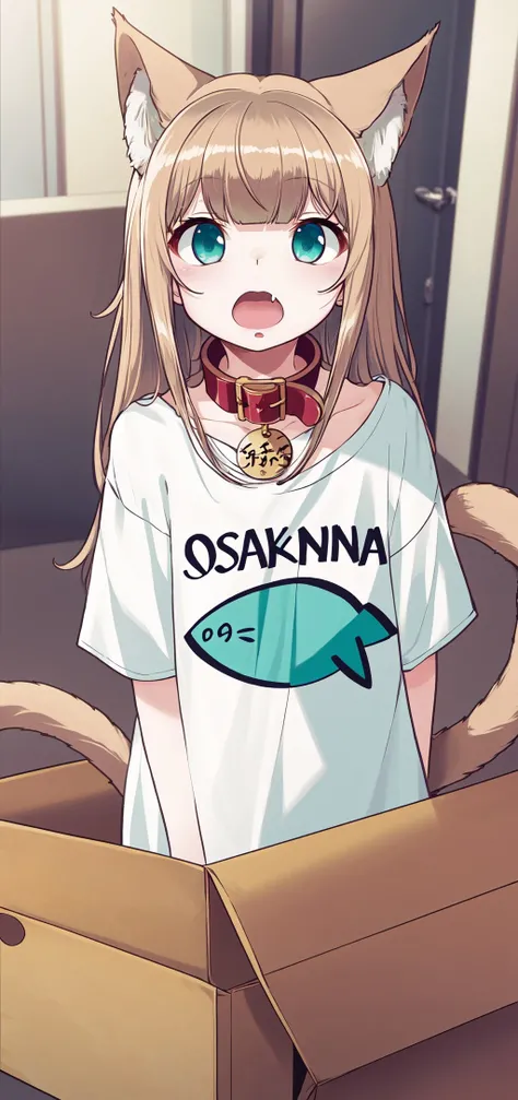 masterpiece,best quality, 1girl,solo,a with a shirt that says osakakana , cat ears,cat tail, aqua_eyes, blond hair, animal_collar, cat girl, bangs, t-shirt ,oversized_shirt, red_collar ,clothes_writing,in box,open_mouth, <lora:Osakana_loRa2_32x16:0.7>