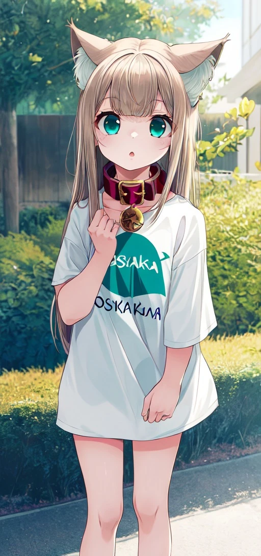masterpiece,best quality, 1girl,solo,a with a shirt that says osakakana , outdoor , cat ears, aqua_eyes, blond hair, red_collar,<lora:add_detail:0.6> <lora:Osakana_lycoris_32x16-000018:0.7>