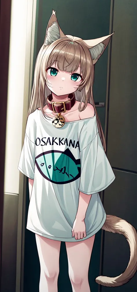 masterpiece,best quality, 1girl,solo, cinematic lights, a *********** with a shirt that says osakakana, cat ears, aqua_eyes, bangs, blonde_hair,  t-shirt , animal_collar,tail,white_shirt ,oversized_shirt, <lora:Osakana_loRa2_32x16:0.7> <lora:add_detail:0.7>