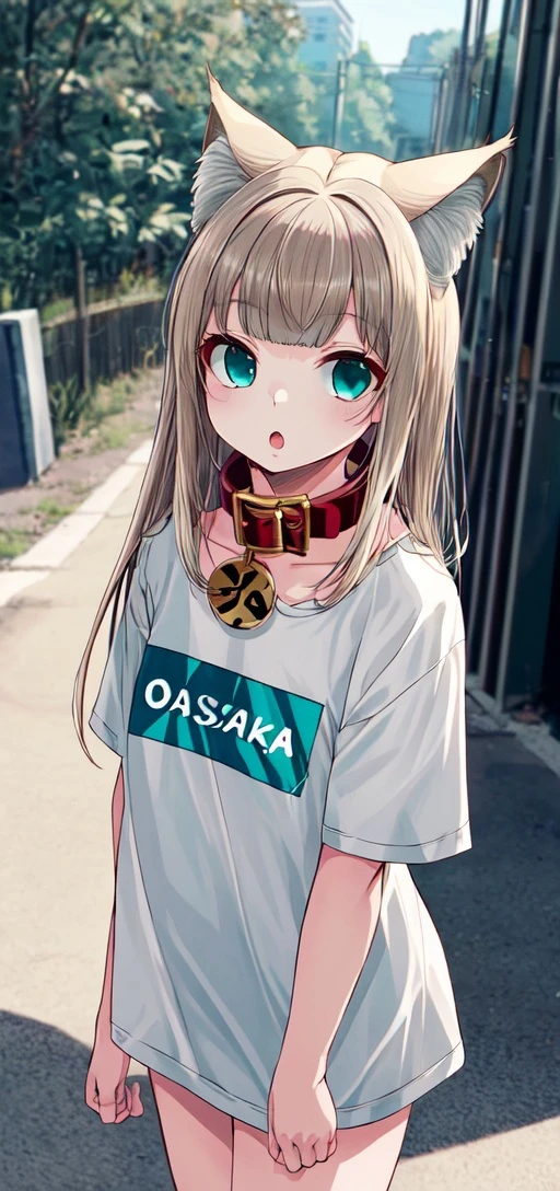 masterpiece,best quality, 1girl,solo,a with a shirt that says osakakana , outdoor , cat ears, aqua_eyes, blond hair, red_collar,<lora:add_detail:0.6> <lora:Osakana_lycoris_32x16-000018:0.7>