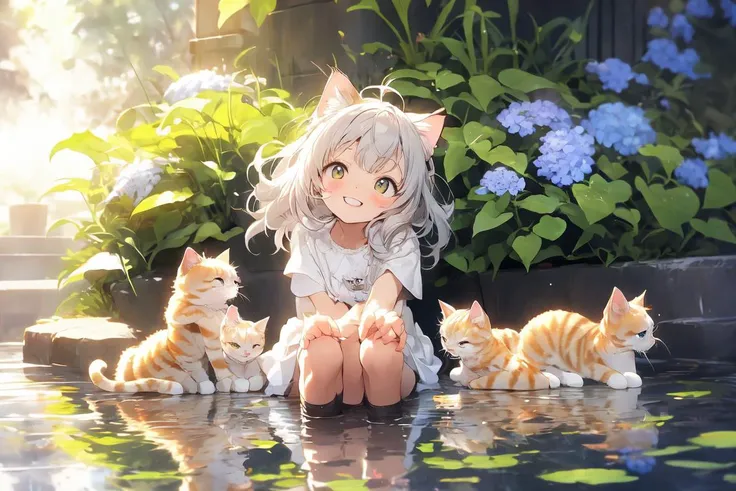 group of kittens
