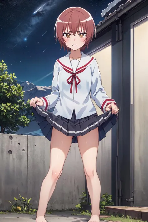 ((masterpiece)), (best quality), official art, extremely detailed CG, unity 8k wallpaper, ultra detailed,
1girl, nadeshiko kashima, school uniform, serafuku, miniskirt, (anger:1.2), clenched teeth,  (barefoot:1.4),  
(skirt lift:1.4), sweat, standing, spread legs, 
outdoors, lake, mountain, night, starry sky, 
 <lora:nadeshiko-mikakunin:0.7>
